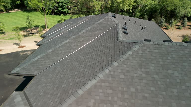 Best Solar Panel Roofing Installation  in Mi Wuk Village, CA