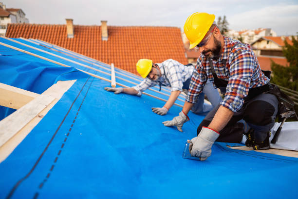 Best Roof Moss and Algae Removal  in Mi Wuk Village, CA